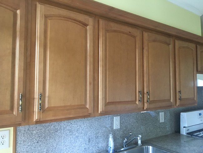 Kitchen Cabinets - 216 South St