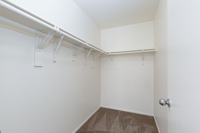 Building Photo - New paint and carpet in 2nd floor unit in ...