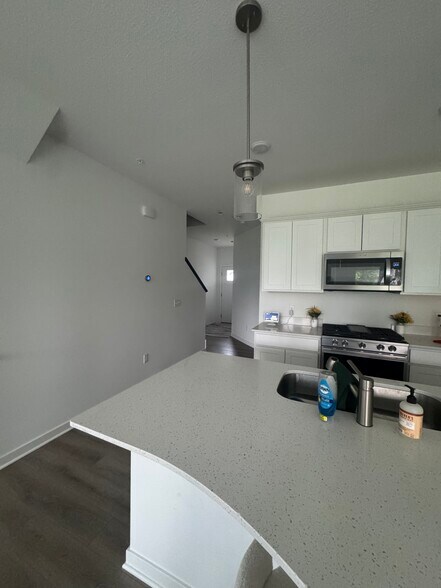 Kitchen and walk way area - 21998 Harvest Ave