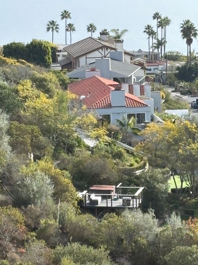 Building Photo - Azari PM-Juccuzi- half acre luxurious landscape-fully chic furniture -  massive lot , 18 fruit tr...