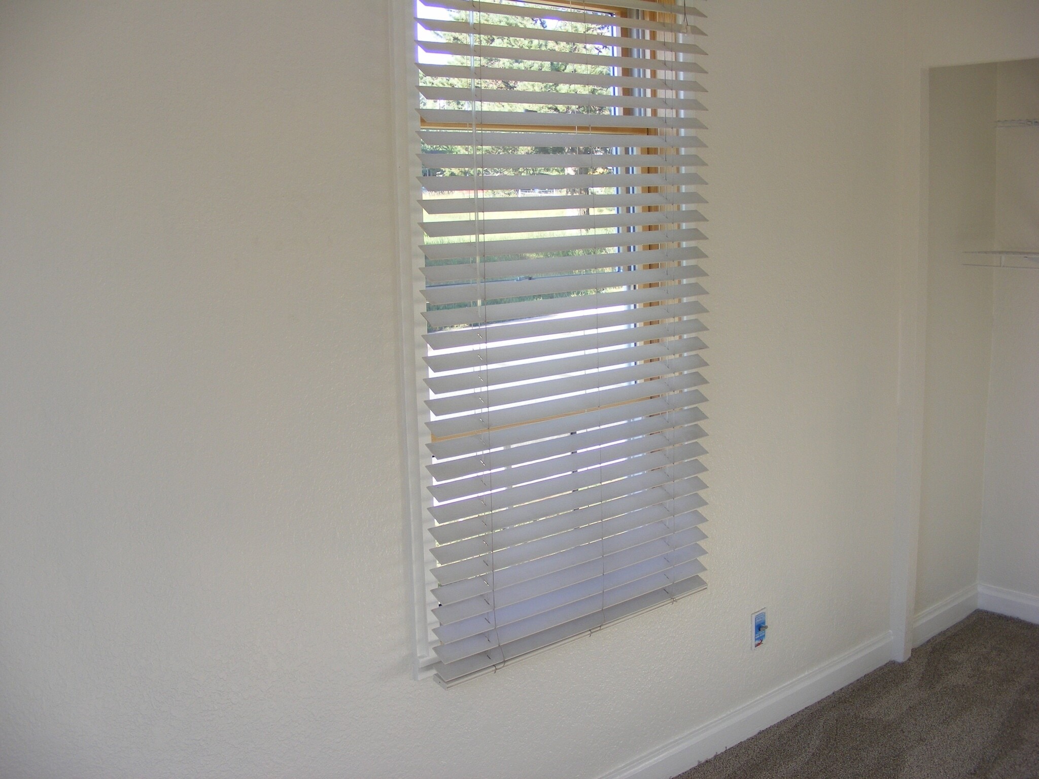 Building Photo - 115 N Park St