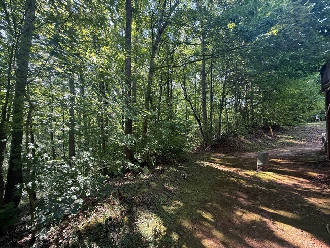 Building Photo - 117 Hill Shore Ln