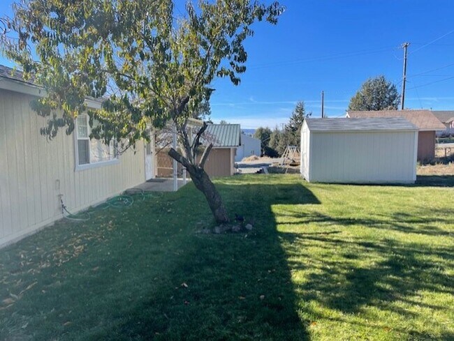 Building Photo - Beautiful 3 Bed 1 Bath in Bonanza