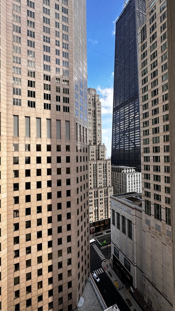 Building Photo - 100 E Walton St