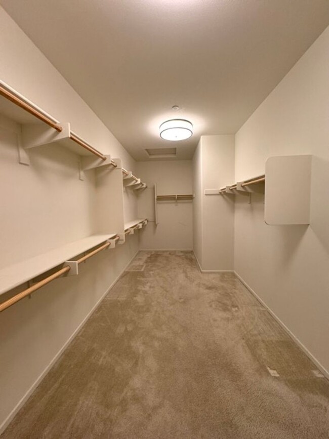 Building Photo - 4 bedroom single story Spencers Crossing h...