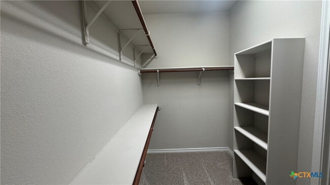 Building Photo - 2419 Lavigne Ct