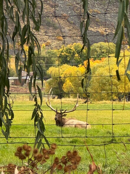 Building Photo - 180 Deer Run