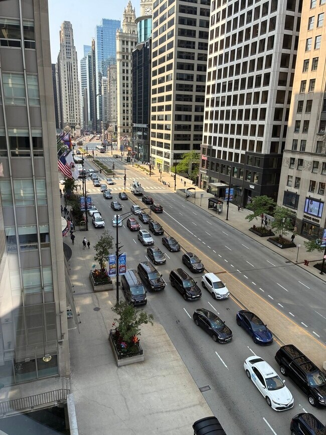 Building Photo - 535 N Michigan Ave