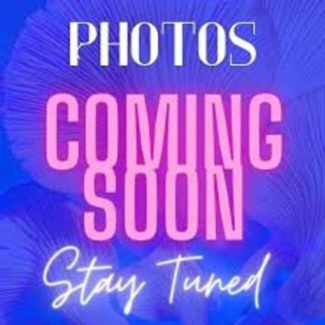 Building Photo - 127 Candlebrook Dr