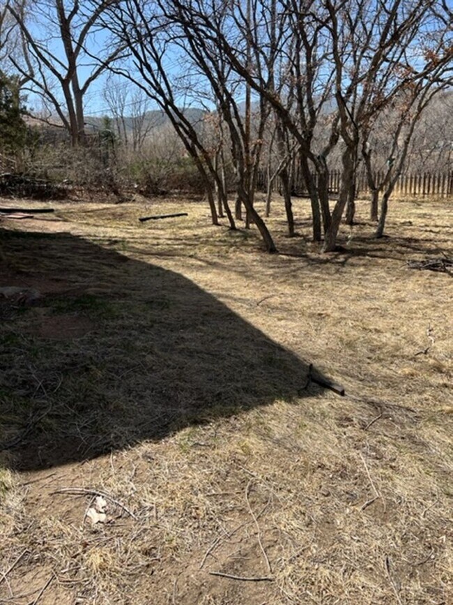 Building Photo - 4 BEDROOM HOME IN SKYWAY!!