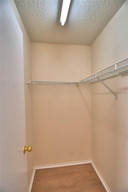 Building Photo - 11701 Minto Ct