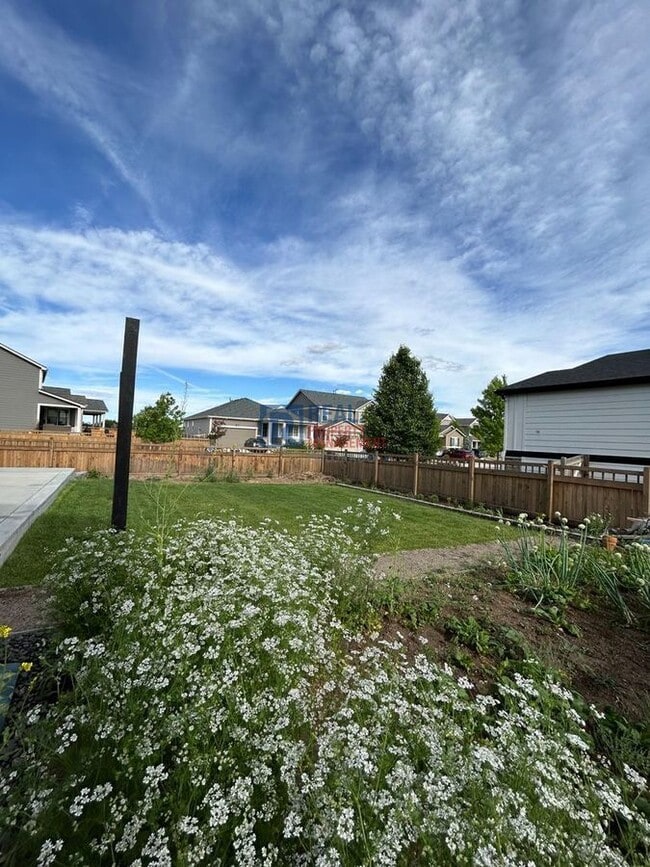 Building Photo - 2909 Quartz Pl