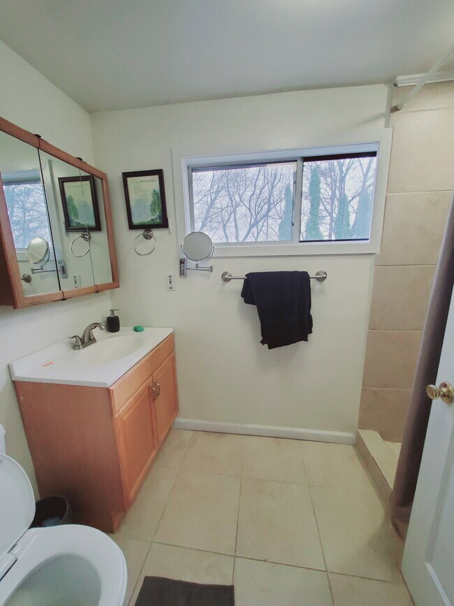 Building Photo - 61 Palmer St