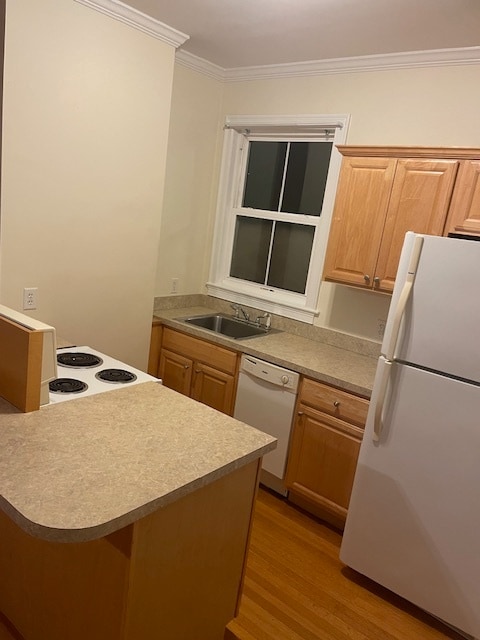 Building Photo - 14 Church Ave