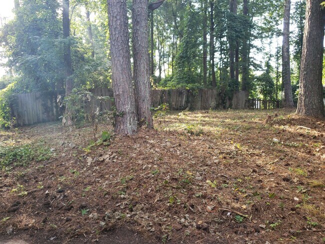 Building Photo - Spacious Ranch-Style 3 Bedroom Home with Bonus room Large back yard!