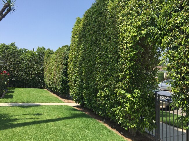 Building Photo - 263 N Florence St