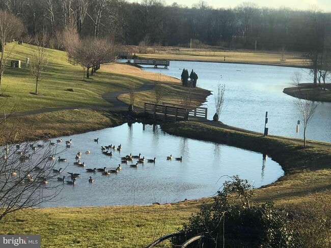 Building Photo - 22587 Welborne Manor Square