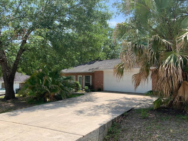 Building Photo - 556 Aila St