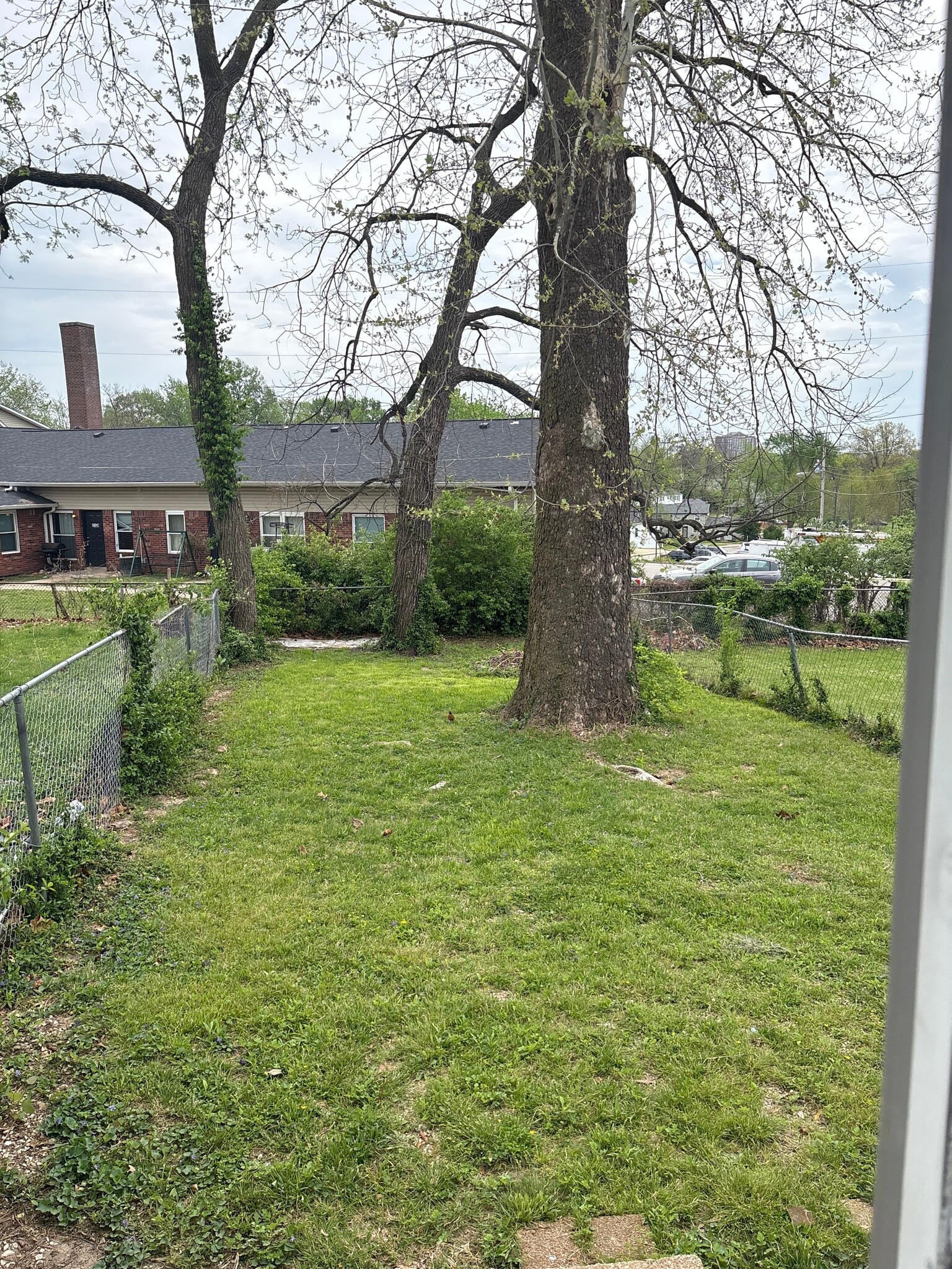 Backyard - 812 Nathan St