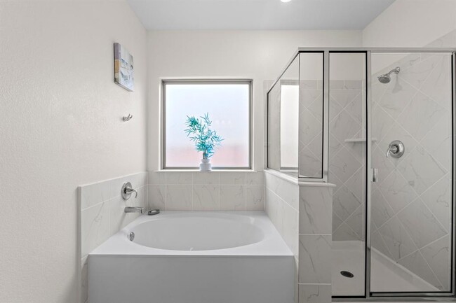 Building Photo - 4729 San Rufo Dr