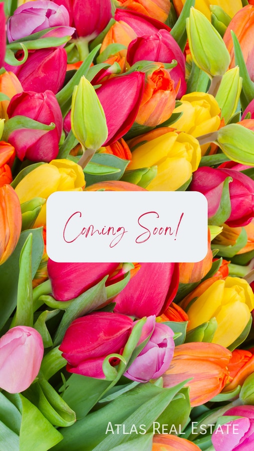 Building Photo - 1733 Millstream Way