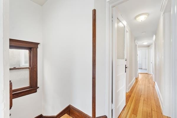 Building Photo - 114 Shippen St
