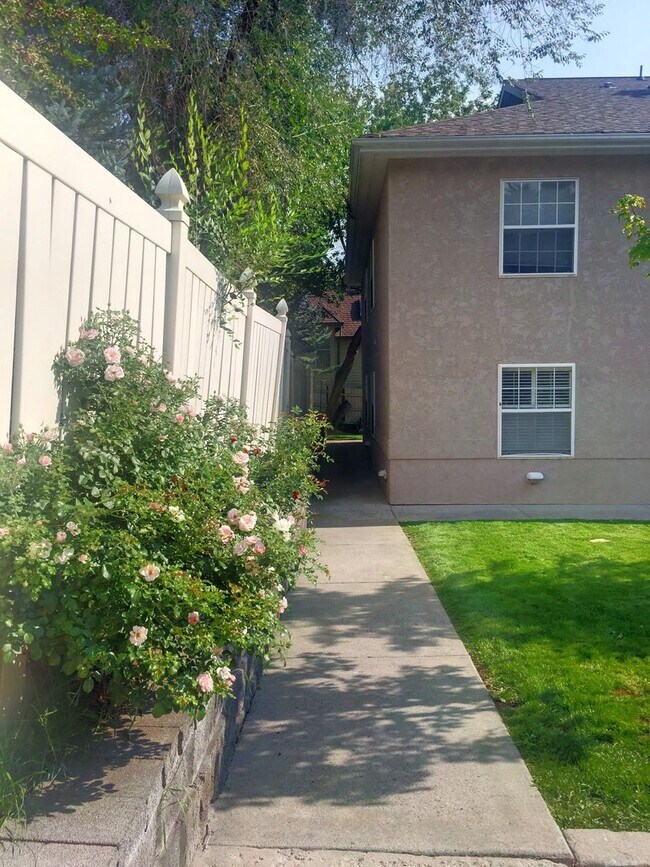 Building Photo - Downtown Glenwood Springs Condo