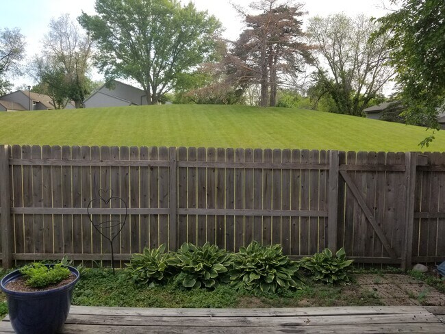 So much green space - 1740 Bluebill Dr