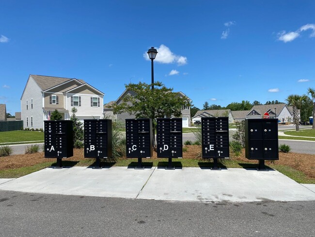 Building Photo - 5 Bedrooms, 3 Bathrooms in Richmond Hill P...