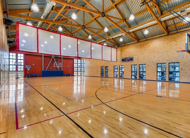 Building Photo - 10003 Yampa Ct