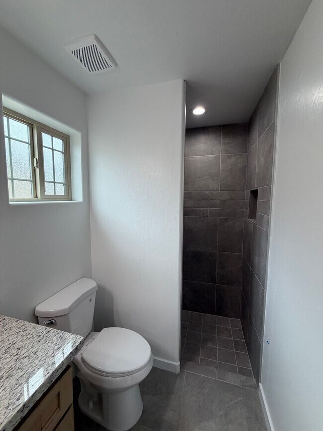 Building Photo - BRAND NEW 3 BEDROOM HOME!