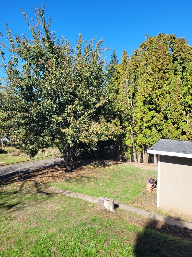 view from back yard deck - 5095 SW 163rd Ave