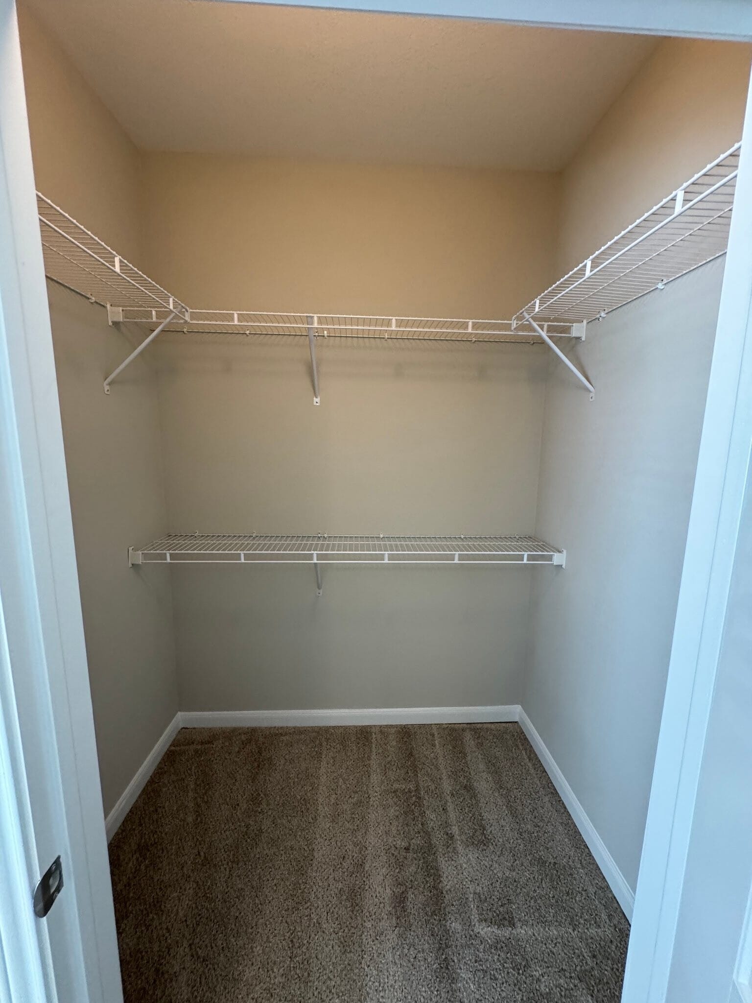 Building Photo - 450 Houston Ridge Dr