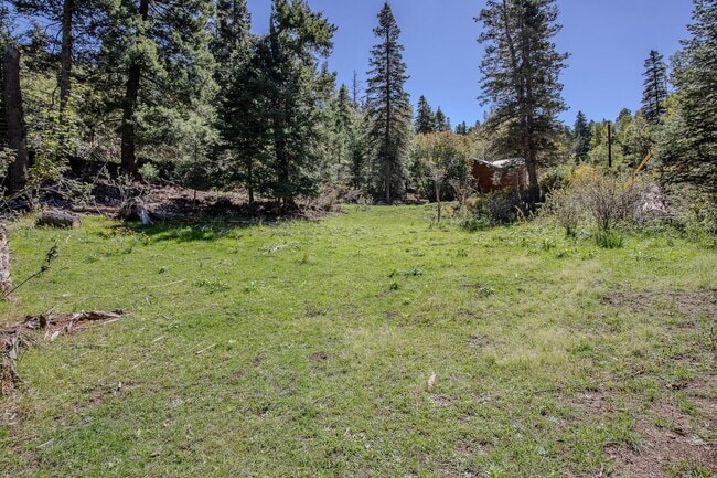 Building Photo - Beautiful New Construction Mountain Retreat