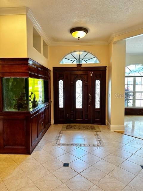 Building Photo - 3905 Dumfries Ct