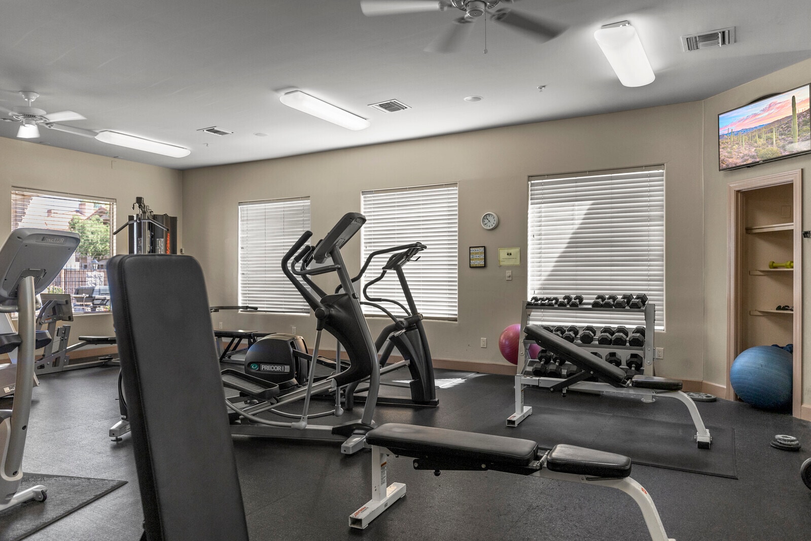 Cardio and weight training equipment - 14000 N 94th St