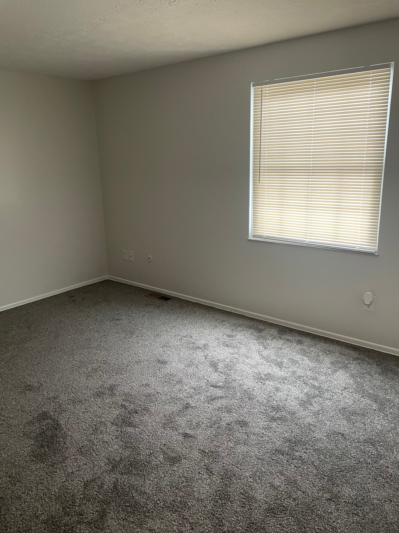 Building Photo - 329 Bellford Ct