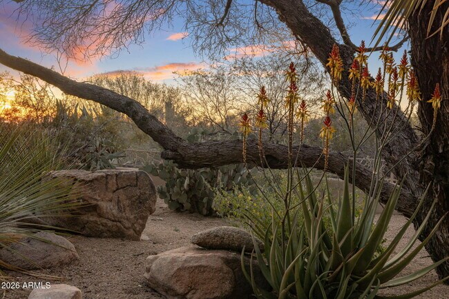 Building Photo - 34068 N 79th Way