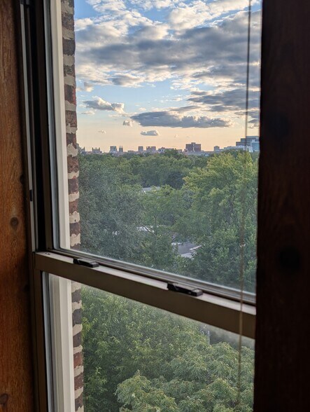 View of U of C campus from secondary bedroom - 5400 S Harper Ave