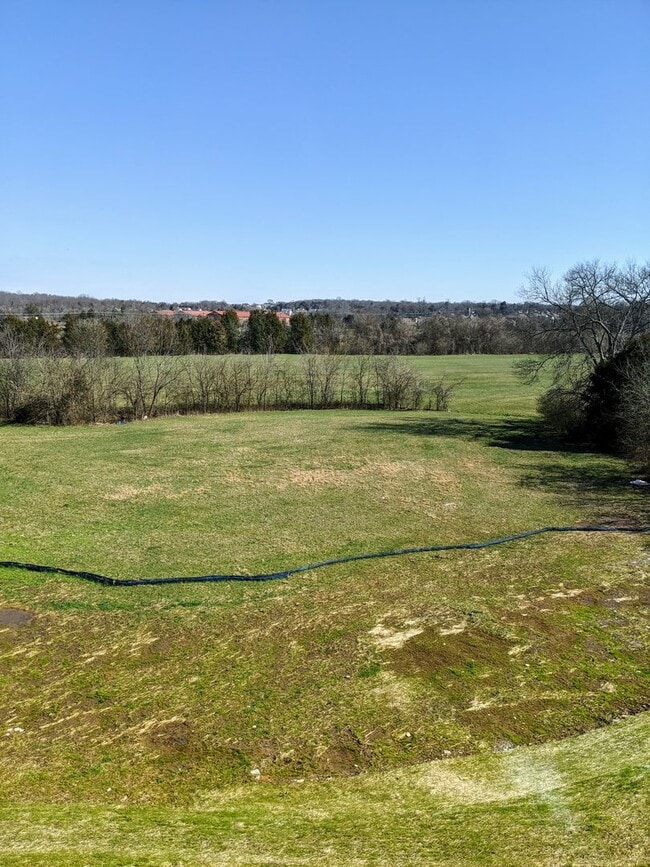 Building Photo - Luxury Townhome - Williamson County