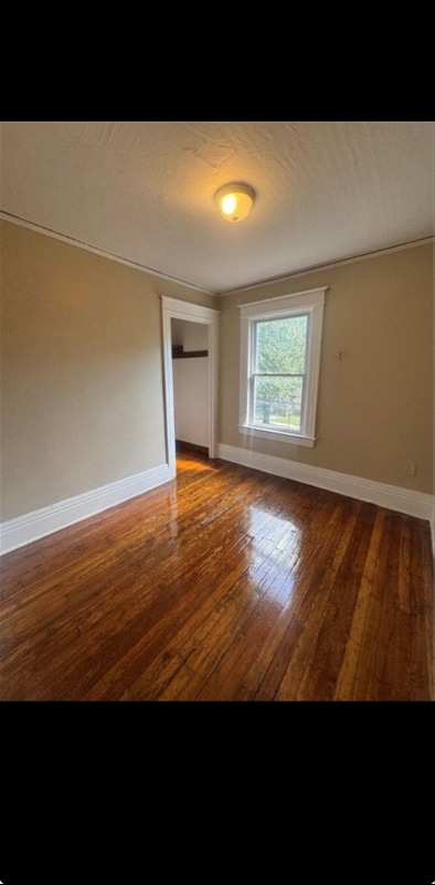 Building Photo - 42 Curtis St