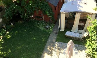 Backyard - 3016 Victor St