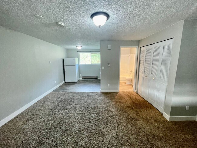 Building Photo - Freshly Updated Studio Apartment with Utilities Included!