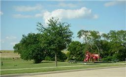 Building Photo - 507 Lipizzan Ln