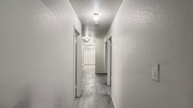 Building Photo - 2706 Vernice Loop