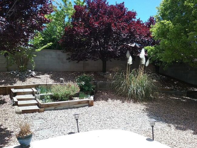 Building Photo - One Story 3 Bedroom