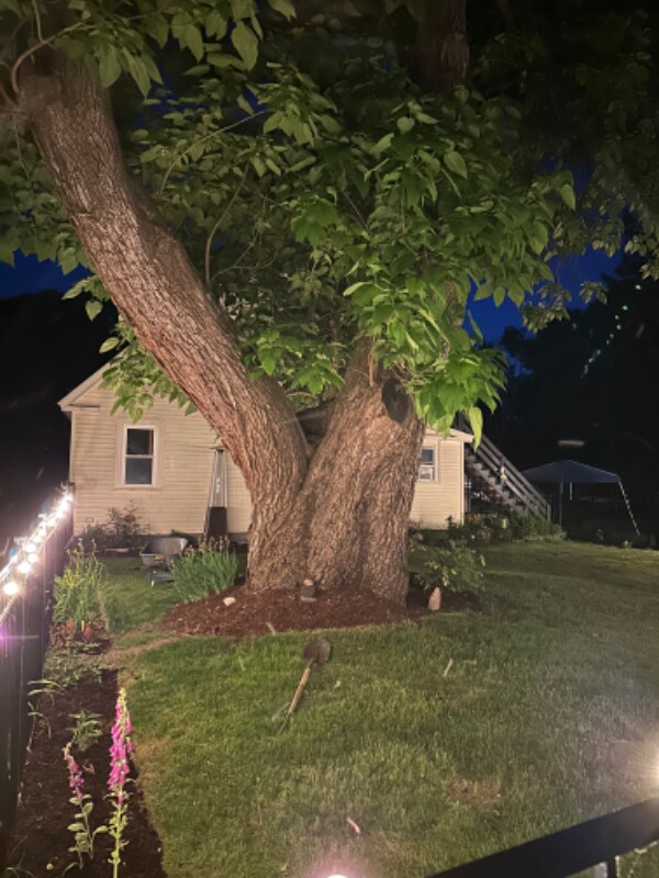 Building Photo - 2 Burdon St