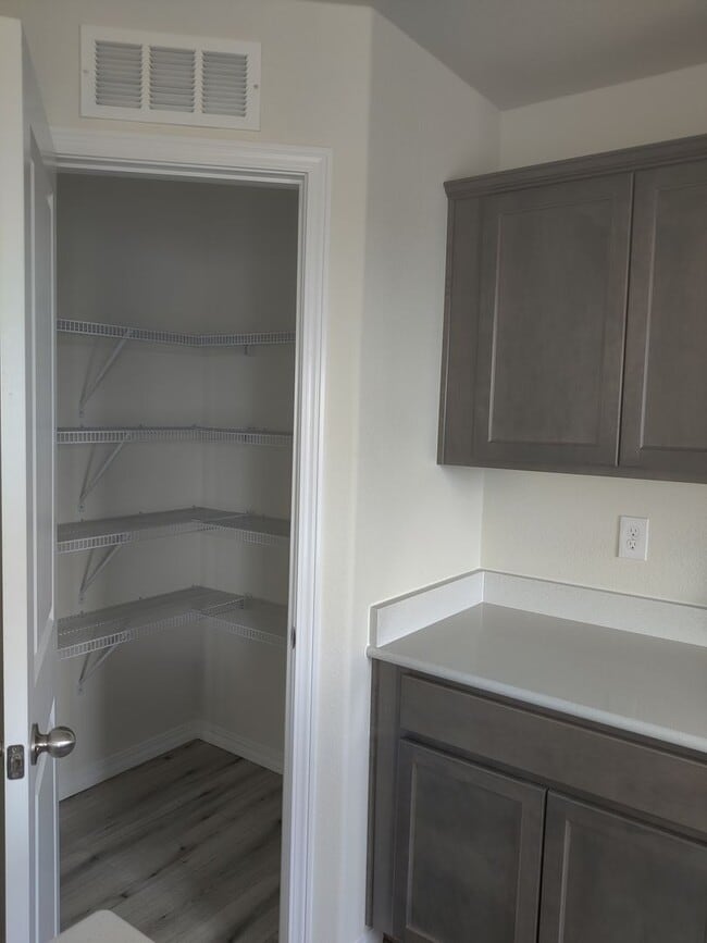 Building Photo - Gorgeous 3 Bedroom Home in Mountain Vista ...