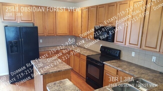 Building Photo - 2548 Obsidian Forest Vw