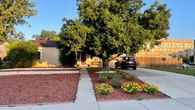 Building Photo - University Hills Charming Updated House 3 Bedrooms 1 Bath w/ Large Yard, Solar Panels & More